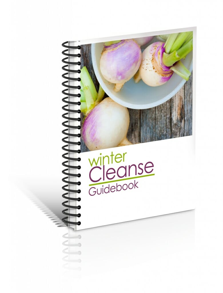 WinterCleanseGuidebook 3Dcover Nofooter