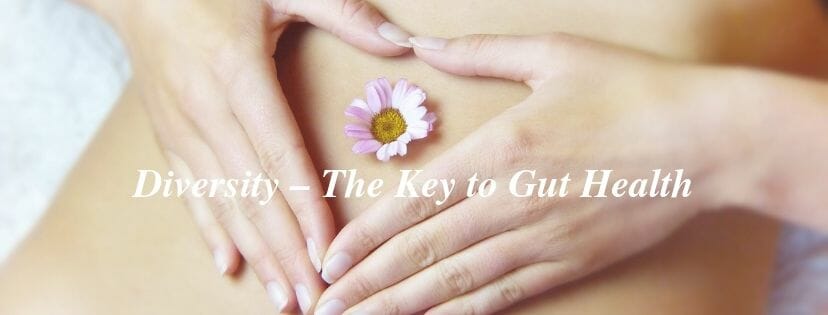 Diversity – The Key to Gut Health // andreadahlman.com