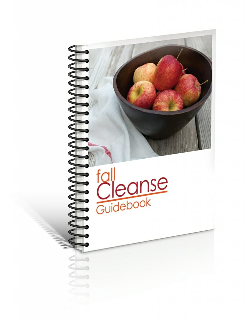 FallCleanseGuidebook 3Dcover Nofooter