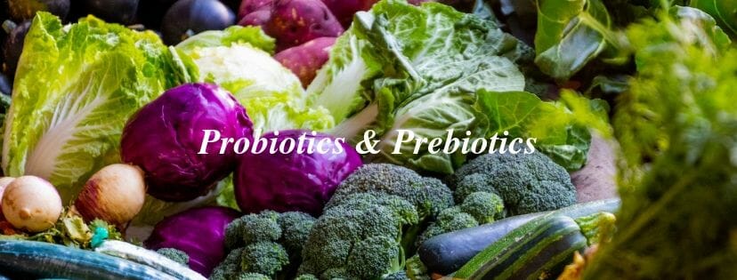 Probiotics & Prebiotics and a New FREE Upcoming Program! // andreadahlman.com